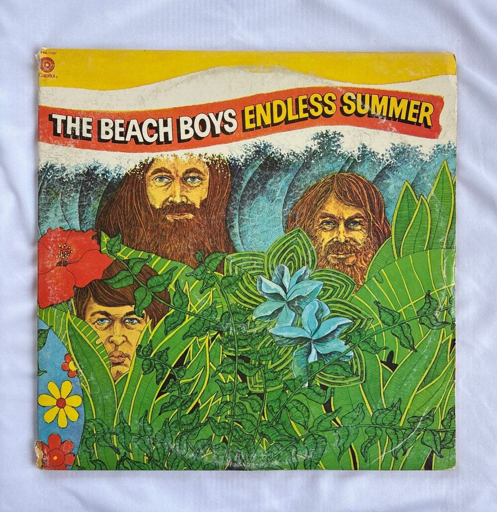 The Beach Boys Endless Summer 2LP Vinyl Record Album POSTER Jacksonville surf